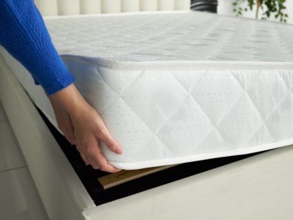 Матрас Димакс Оптима ролл латекс 90х190